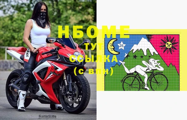 2c-b Инсар