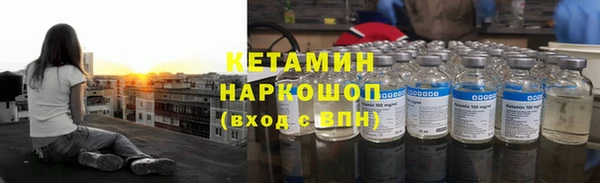 2c-b Инсар