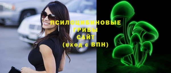 2c-b Инсар