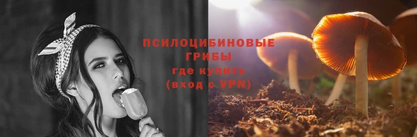 2c-b Инсар
