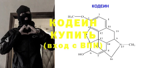2c-b Инсар