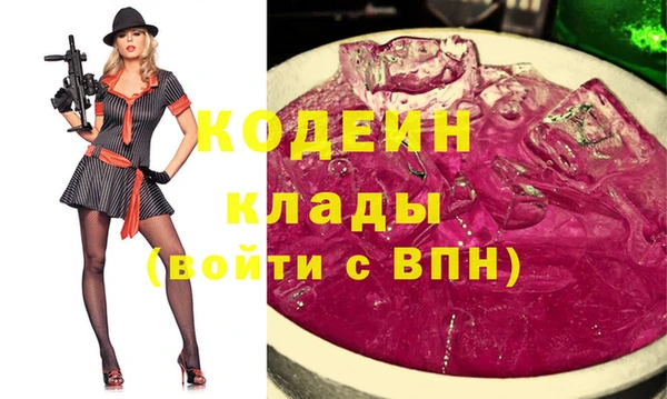 2c-b Инсар