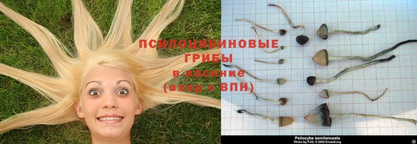 кокаин перу Иннополис