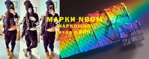 2c-b Инсар