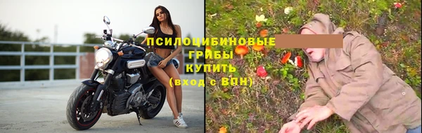 2c-b Инсар