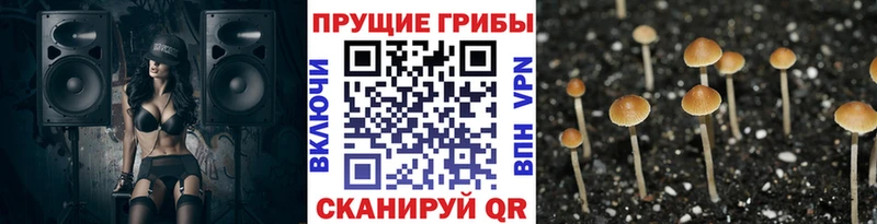 мега зеркало  Зарайск  Псилоцибиновые грибы прущие грибы 